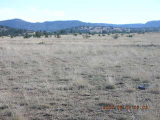 Young -- Chapman Ranch Airport