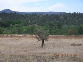 Young - Chapman Ranch