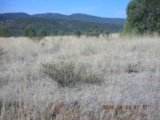 Young - run to Chapman Ranch