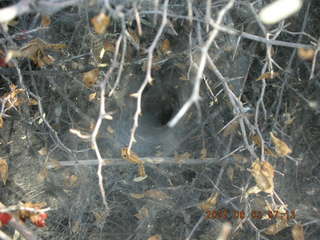 6cousins - Matt sleeping