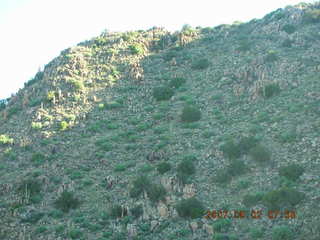 run in Bagdad