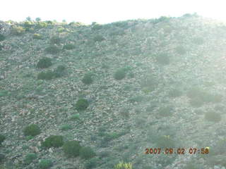 run in Bagdad