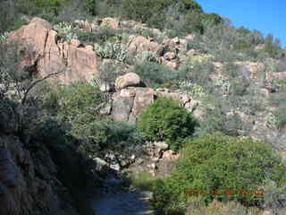 run in Bagdad