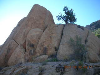 run in Bagdad