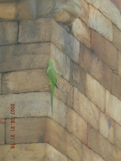 Qutub Minar, Delhi - Hindu text