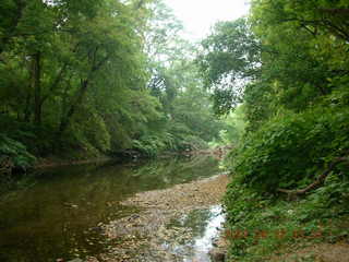 morning run - Tookany Creek Park