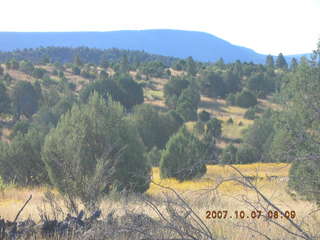 Chapman Ranch run in Young, Arizona