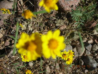 Chapman Ranch run in Young, Arizona