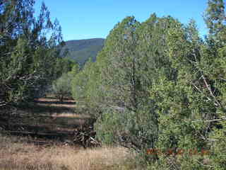 Chapman Ranch run in Young, Arizona