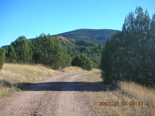 Chapman Ranch run in Young, Arizona - flowers