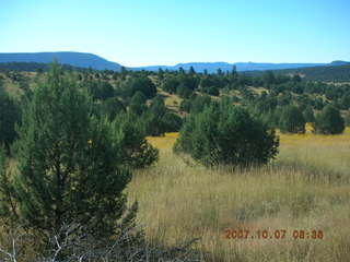 Chapman Ranch run in Young, Arizona