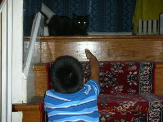 Rosie's cat on the stairs - Gaby