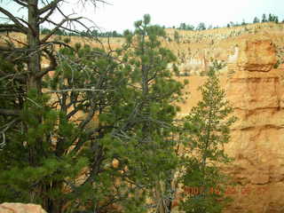 aerial - Bryce Canyon