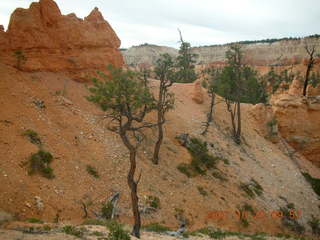Bryce Canyon - Queen's Garden trail