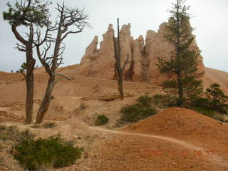 Bryce Canyon - Queen's Garden trail