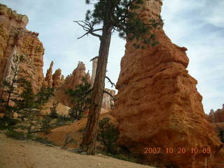 Bryce Canyon - Queen's Garden trail