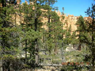 Bryce Canyon - Peek-a-boo loop