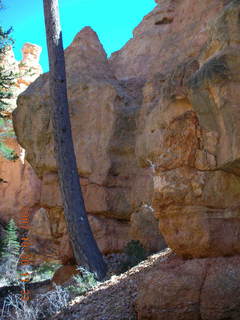 Bryce Canyon - Peek-a-boo loop