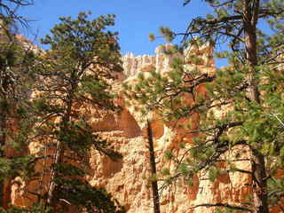 Bryce Canyon - Peek-a-boo loop