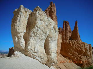 Bryce Canyon - pine cones