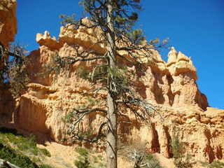 Bryce Canyon - Peek-a-boo loop