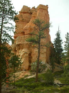 Bryce Canyon - Navajo loop - Two Bridges - Dee (backlit)