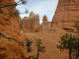 Bryce Canyon - Navajo loop - bird