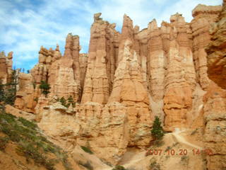 Bryce Canyon - Navajo loop - bird