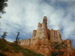 Bryce Canyon - Navajo loop - bird