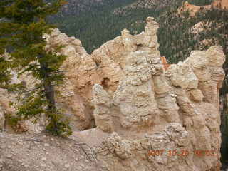 Bryce Canyon - Rainbow Point