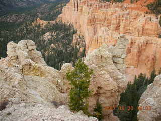 Bryce Canyon - raven