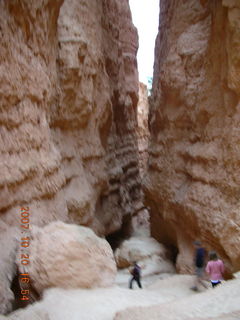 Bryce Canyon - Navajo loop - Wall Street from below