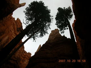 Bryce Canyon - Navajo loop - Wall Street - Adam