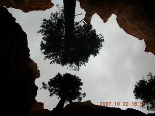 Bryce Canyon - Navajo loop - Wall Street