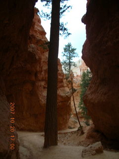 Bryce Canyon - Navajo loop