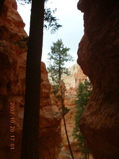 Bryce Canyon - Navajo loop - Wall Street