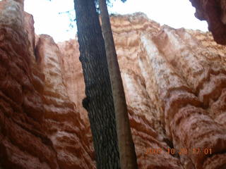 Bryce Canyon - Navajo loop - Wall Street