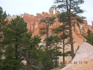 Bryce Canyon - Navajo loop - bottom of tall tree