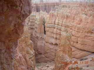 Bryce Canyon - Navajo loop near dusk