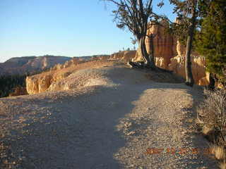 Bryce Canyon - rim trail