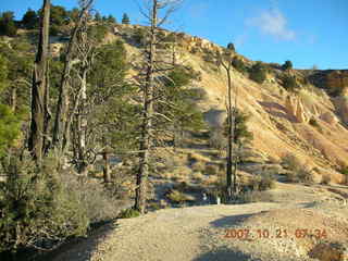 Bryce Canyon - rim trail