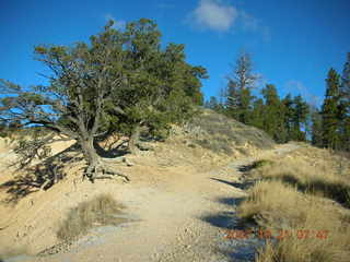Bryce Canyon - rim trail