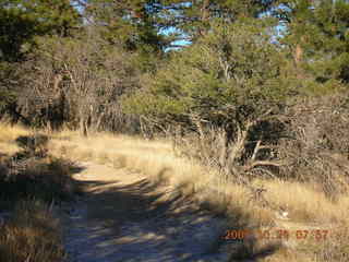 Bryce Canyon - rim trail