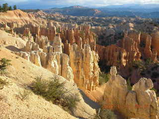 Bryce Canyon - rim trail