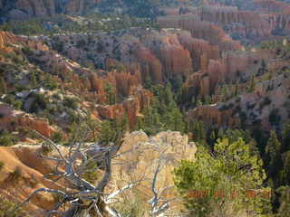 Bryce Canyon - rim trail