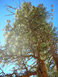 Bryce Canyon - Fairyland trail