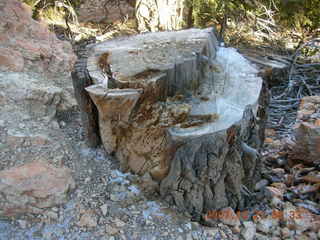 Bryce Canyon - Fairyland trail