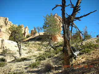 Bryce Canyon - Fairyland trail