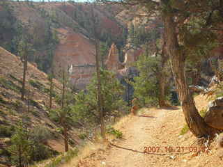 CHS-XC-2007 - runner at stone bridge