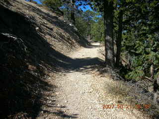 Bryce Canyon - Fairyland trail - Tower Bridge